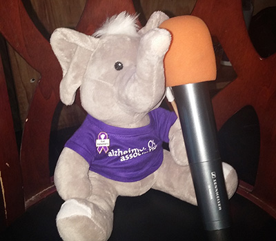 Wanda the stuffed elephant