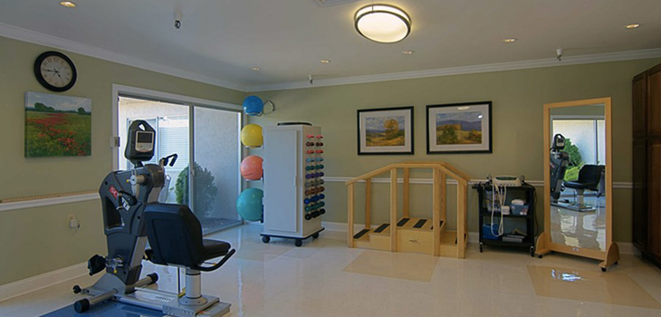 Woodlands-730x350-3