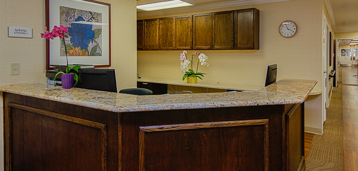Woodlands-730x350-4