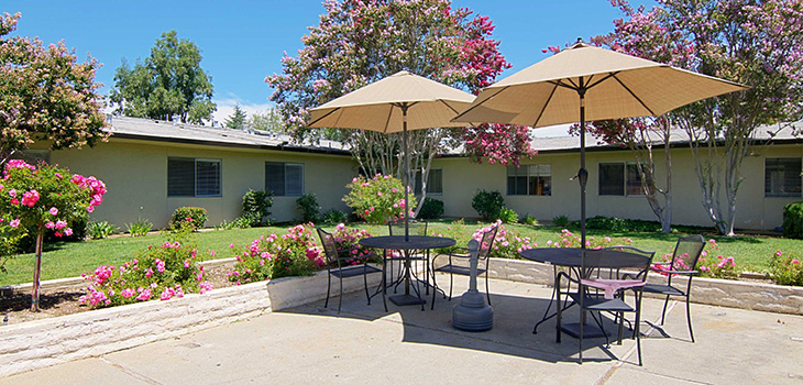 stonebrook-730x350-4