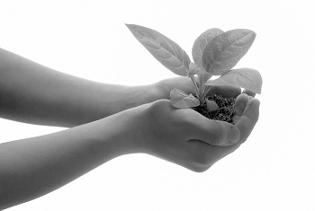 give