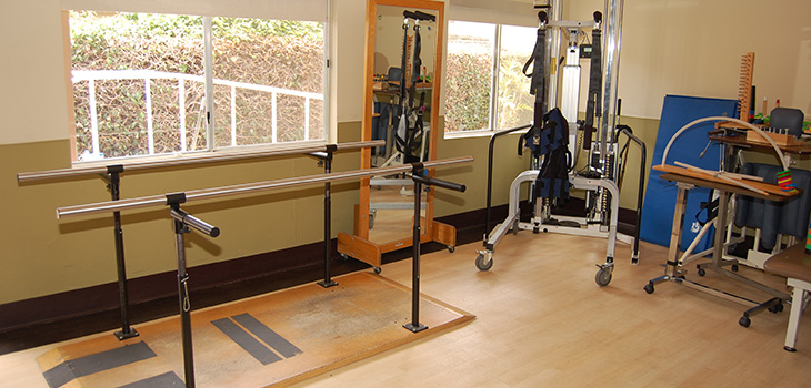 mv-730x350-2