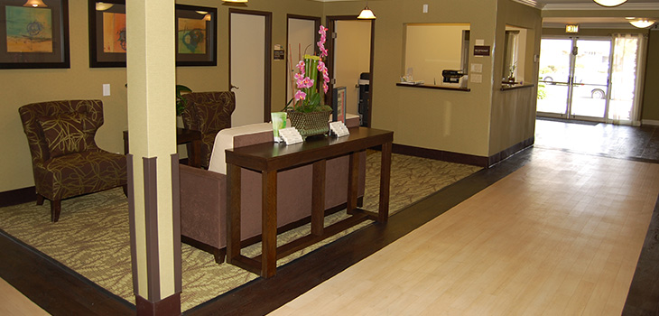 mv-730x350-6